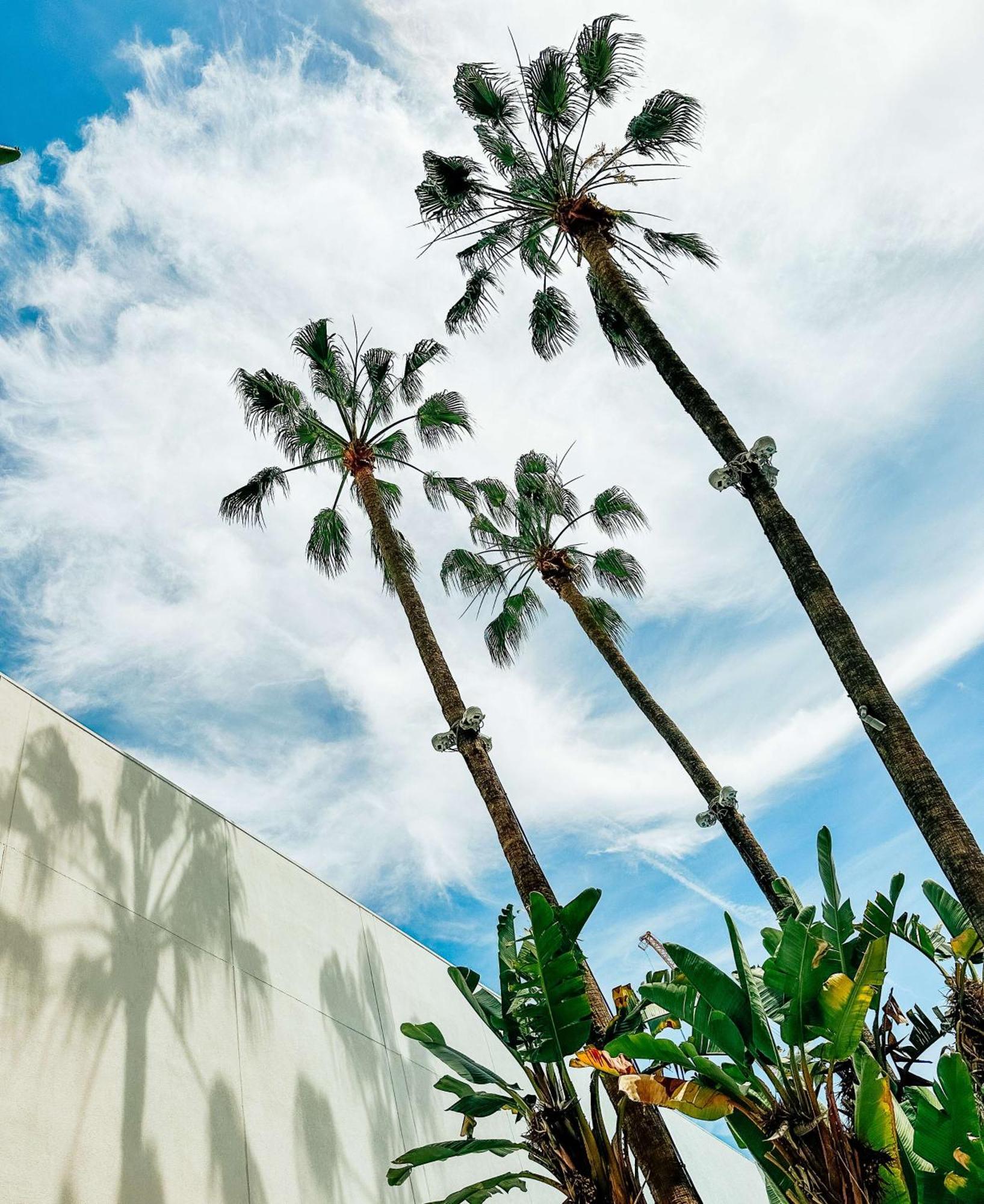 The Beverly Hilton Los Angeles Exteriör bild